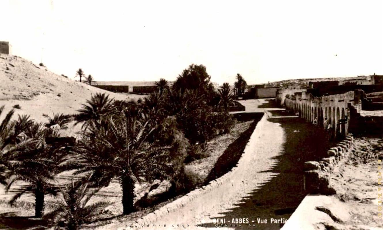 Beni-Abbes - Vue partielle.jpg
